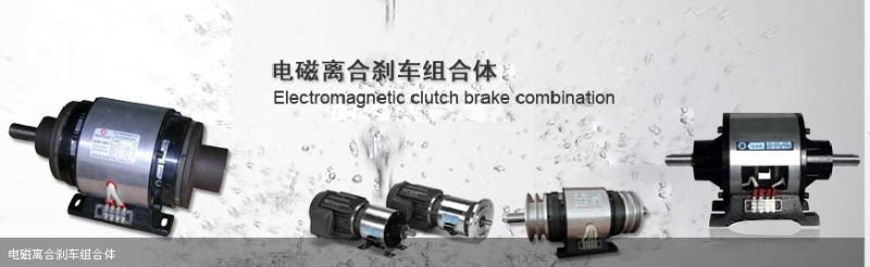 electric clutch and brake