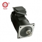 AC Single Phase Gear Reducer DC Motor 220V